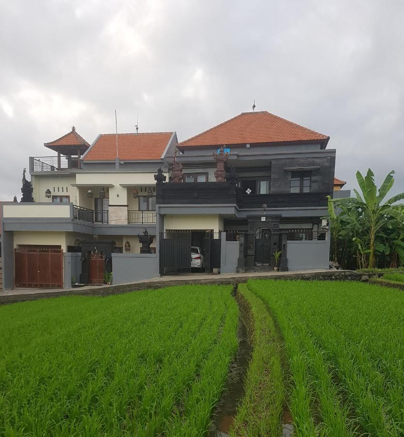 Yogi Homestay Canggu  Exterior photo