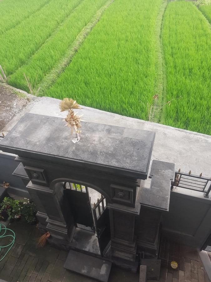 Yogi Homestay Canggu  Exterior photo